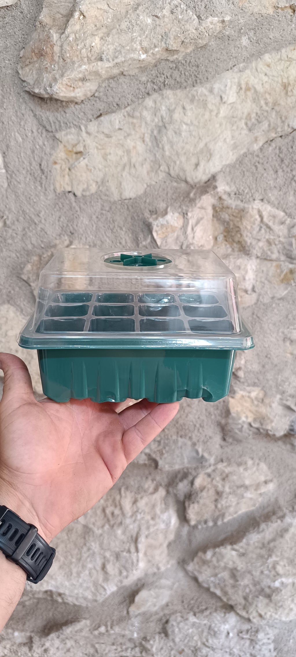 Mini Invernadero Semillero – 12 Alvéolos para Esquejes y Semillas