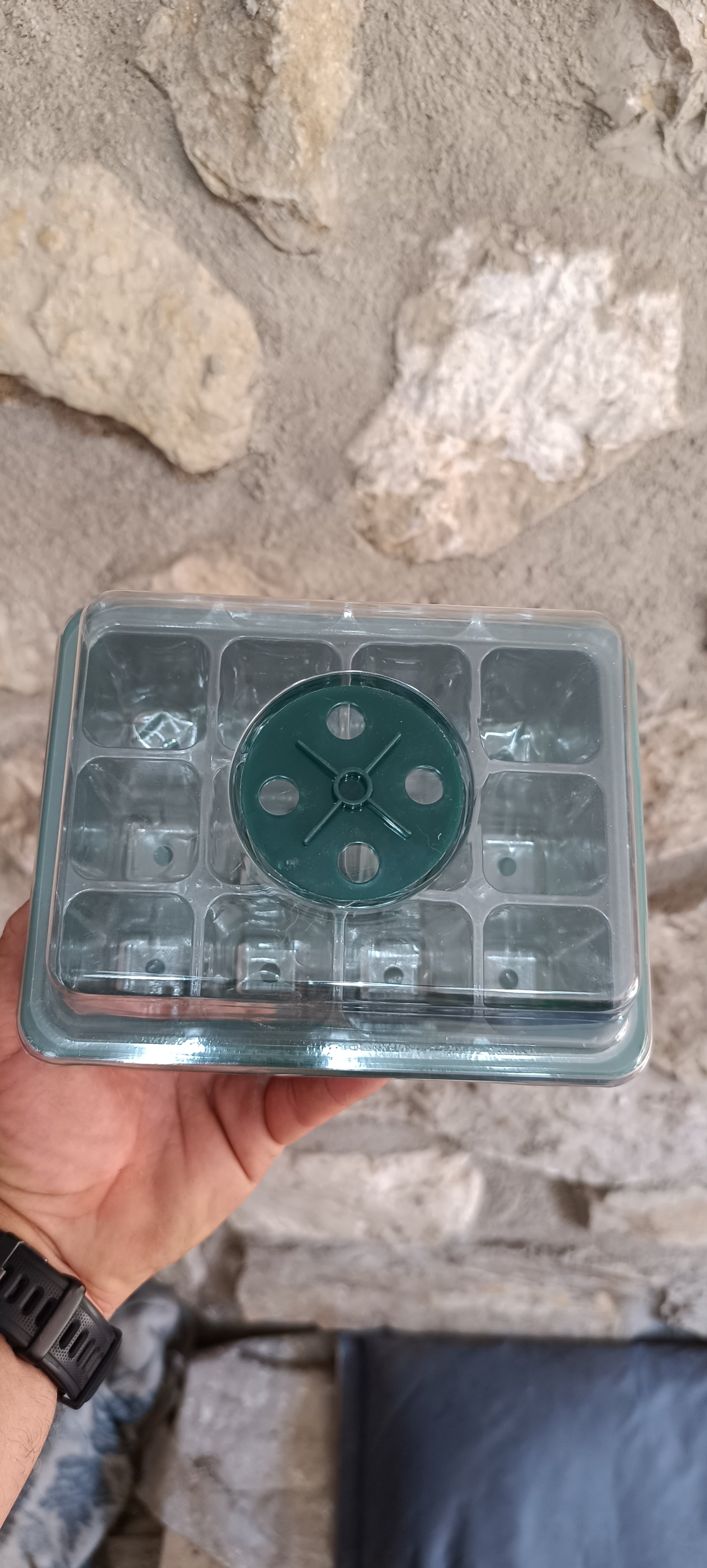Mini Invernadero Semillero – 12 Alvéolos para Esquejes y Semillas