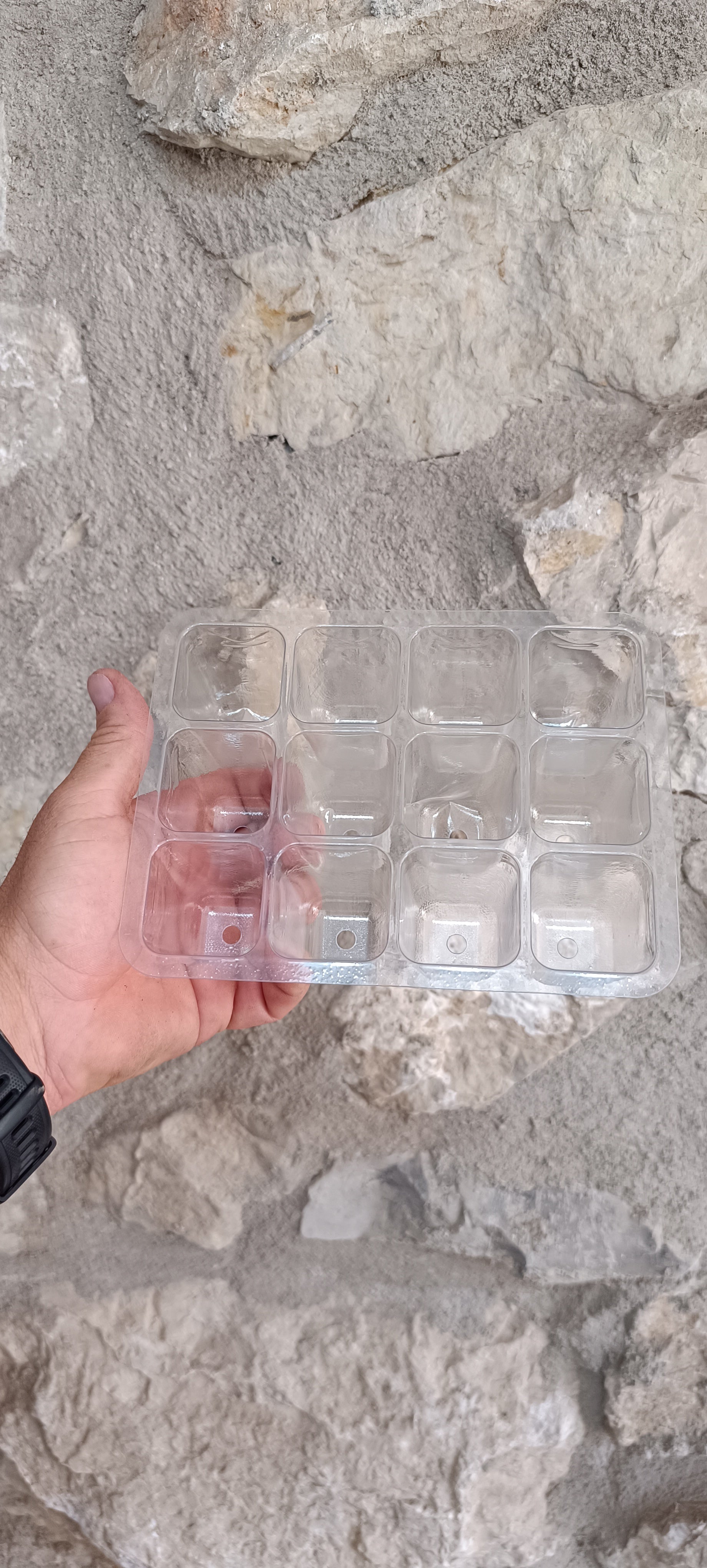 Mini Invernadero Semillero – 12 Alvéolos para Esquejes y Semillas